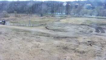 Vinny Land 8 квітня 2020 року, 2020-04-08 10:00