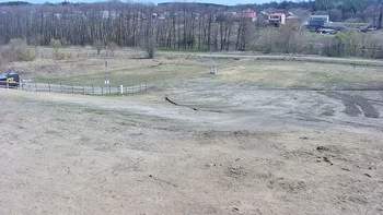 Vinny Land 11 квітня 2020 року, 2020-04-11 13:00
