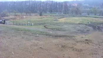 Vinny Land 14 квітня 2020 року, 2020-04-14 10:00