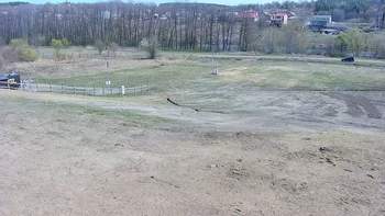 Vinny Land 19 квітня 2020 року, 2020-04-19 13:00