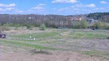 Vinny Land 29 квітня 2020 року, 2020-04-29 16:00