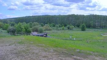 Vinny Land 20 травня 2020 року, 2020-05-20 10:00