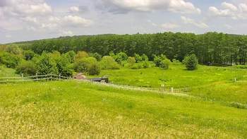 Vinny Land 20 червня 2020 року, 2020-06-20 13:00