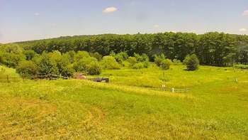Vinny Land 10 липня 2020 року, 2020-07-10 13:00