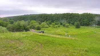 Vinny Land 12 липня 2020 року, 2020-07-12 13:00