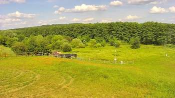 Vinny Land 20 липня 2020 року, 2020-07-20 16:00