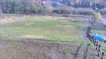 Vinny Land 3 листопада 2020 року, 2020-11-03 13:00