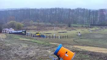 Vinny Land 20 листопада 2020 року, 2020-11-20 13:00