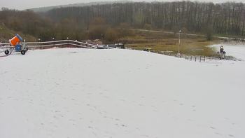 Vinny Land 2 грудня 2020 року, 2020-12-02 10:00