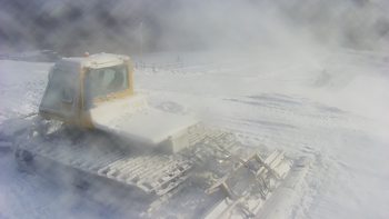 Vinny Land 7 грудня 2020 року, 2020-12-07 10:00