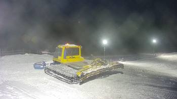 Vinny Land 8 грудня 2020 року, 2020-12-08 16:00
