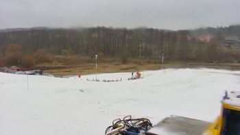 Vinny Land 10 грудня 2020 року, 2020-12-10 13:00