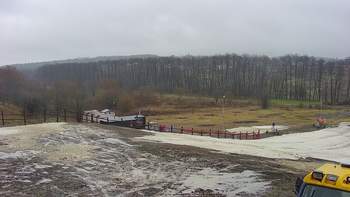 Vinny Land 7 січня 2021 року, 2021-01-07 13:00
