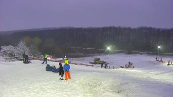 Vinny Land 12 січня 2021 року, 2021-01-12 16:00