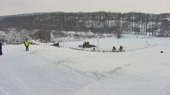 Vinny Land 18 січня 2021 року, 2021-01-18 10:00