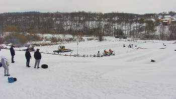 Vinny Land 29 січня 2021 року, 2021-01-29 13:00