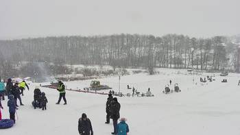 Vinny Land 30 січня 2021 року, 2021-01-30 10:00