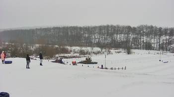 Vinny Land 11 лютого 2021 року, 2021-02-11 16:00