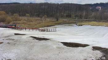 Vinny Land 20 березня 2021 року, 2021-03-20 10:00