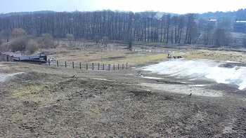 Vinny Land 30 березня 2021 року, 2021-03-30 10:00