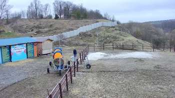 Vinny Land 2 квітня 2021 року, 2021-04-02 16:00