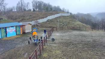 Vinny Land 7 квітня 2021 року, 2021-04-07 13:00