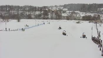 Vinny Land 28 грудня 2021 року, 2021-12-28 10:00