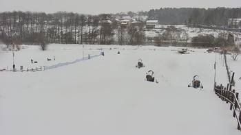 Vinny Land 28 грудня 2021 року, 2021-12-28 13:00