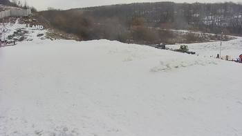 Vinny Land 21 січня 2022 року, 2022-01-21 10:00