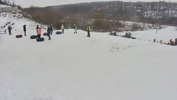 Vinny Land 24 січня 2022 року, 2022-01-24 13:00