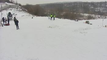 Vinny Land 26 січня 2022 року, 2022-01-26 13:00