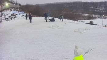 Vinny Land 28 січня 2022 року, 2022-01-28 16:00