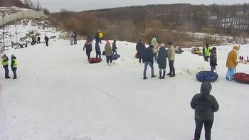 Vinny Land 29 січня 2022 року, 2022-01-29 13:00