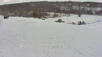 Vinny Land 31 січня 2022 року, 2022-01-31 13:00