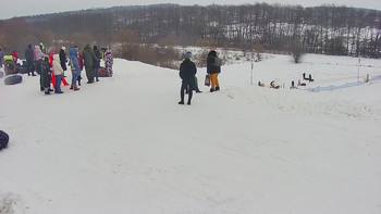 Vinny Land 4 лютого 2022 року, 2022-02-04 16:00