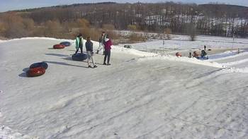 Vinny Land 7 лютого 2022 року, 2022-02-07 13:00