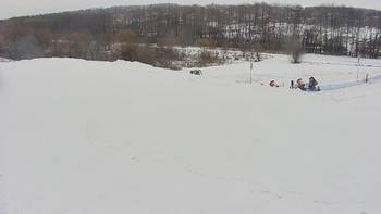 Vinny Land 8 лютого 2022 року, 2022-02-08 10:00