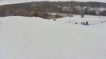 Vinny Land 9 лютого 2022 року, 2022-02-09 10:00