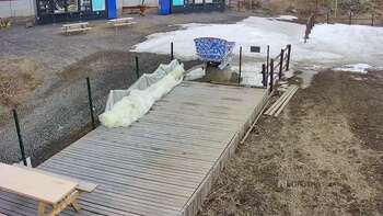 Vinny Land 8 березня 2023 року, 2023-03-08 10:00