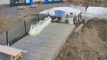 Vinny Land 9 березня 2023 року, 2023-03-09 10:00