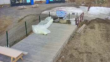 Vinny Land 9 березня 2023 року, 2023-03-09 13:00