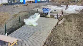 Vinny Land 10 березня 2023 року, 2023-03-10 10:00