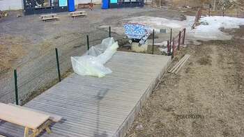 Vinny Land 10 березня 2023 року, 2023-03-10 13:00