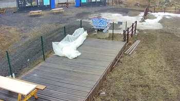 Vinny Land 11 березня 2023 року, 2023-03-11 10:00