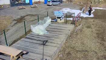 Vinny Land 12 березня 2023 року, 2023-03-12 13:00