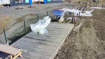 Vinny Land 13 березня 2023 року, 2023-03-13 10:00