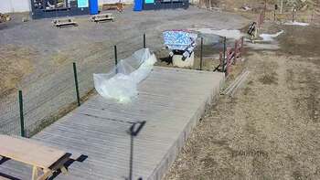 Vinny Land 13 березня 2023 року, 2023-03-13 13:00