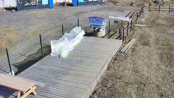 Vinny Land 14 березня 2023 року, 2023-03-14 10:00