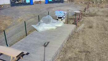 Vinny Land 14 березня 2023 року, 2023-03-14 13:00