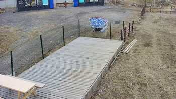 Vinny Land 18 березня 2023 року, 2023-03-18 13:00